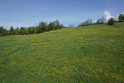 Aussicht App N 6