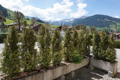 Terrasse App N 1