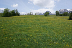 Aussicht App A 5