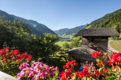 Ausblick Haselnuss