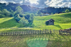 Ausblick Vogelbeere
