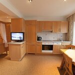 Photo of ap./combined living-bed-room/shower, WC