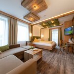 Photo of Suite, shower, toilet, 1 bed room