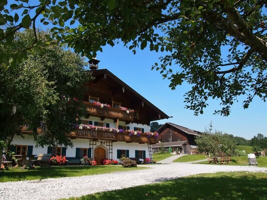 Stegerbauer Sommer (3)