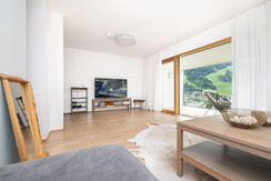 Typ 4E Deluxe_Wohnzimmer_TV