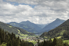 _DSC9574