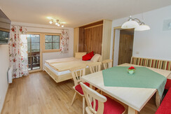 Wohn-Schlafzimmer