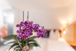 Schlafzimmer 3
