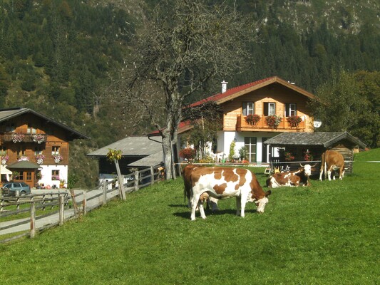 BILD1051