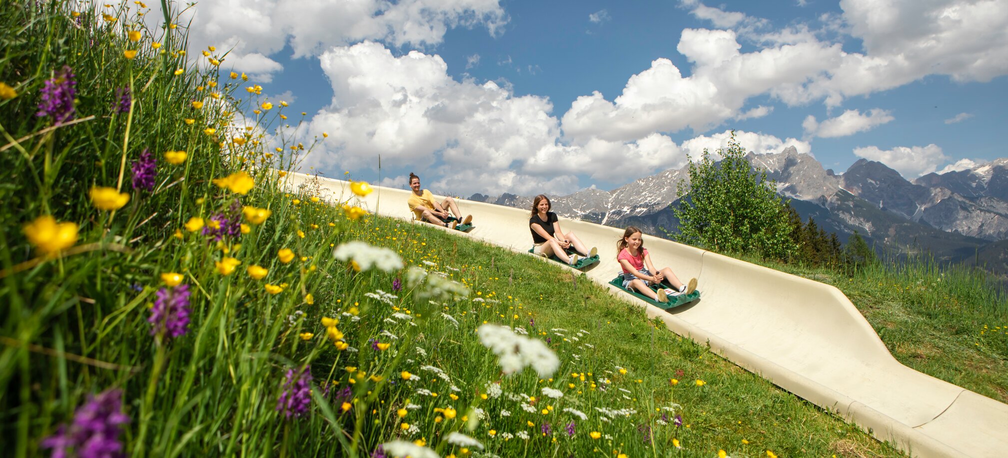 Three people toboggan down the Biberg summer slide, vibrant wildflowers in front, alpine mountain scenery in the background. | © Hochkönig / Roland Haschka