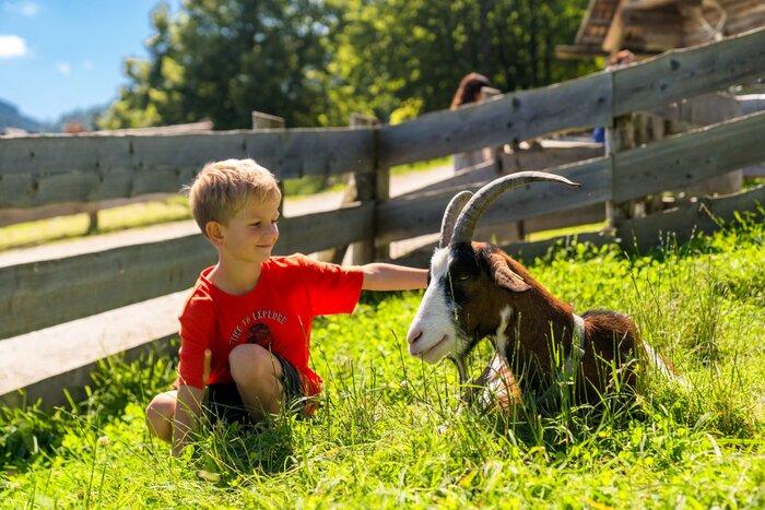 A boy in a red shirt sits on the grass petting a goat at Wilde Berg in Mautern.  | © Christine Höflehner