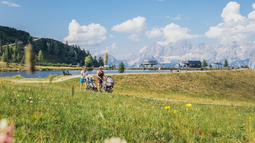 Families with strollers walk along a mountain lake on Reiteralm, surrounded by wildflowers, huts and the Dachstein Alps. | © Gerald Grünwald