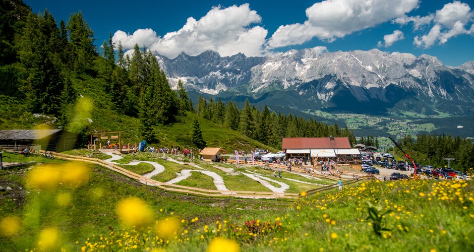 Family-friendly junior bike trails on Reiteralm with blooming meadow, alpine hut, kids riding bikes and Dachstein range behind. | © Reiteralm Bergbahnen
