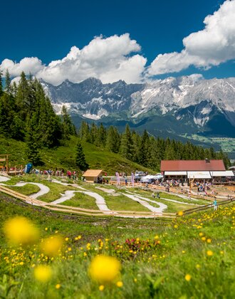 Family-friendly junior bike trails on Reiteralm with blooming meadow, alpine hut, kids riding bikes and Dachstein range behind. | © Reiteralm Bergbahnen