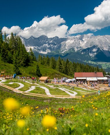 Family-friendly junior bike trails on Reiteralm with blooming meadow, alpine hut, kids riding bikes and Dachstein range behind. | © Reiteralm Bergbahnen