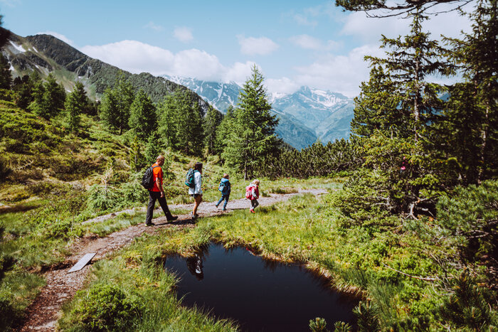 Family hiking the Zirbenweg trail past a small pond with views of snow-covered peaks and lush alpine forest | © SalzburgerLand Tourismus, Cebulec