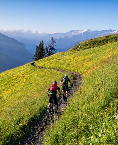 © mtb_travel