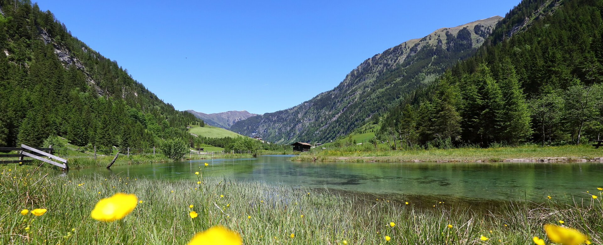 Sunny alpine meadow with yellow flowers by a clear lake at the valley end of Hüttschlag, surrounded by forests and mountains. | © TVB Großarltal