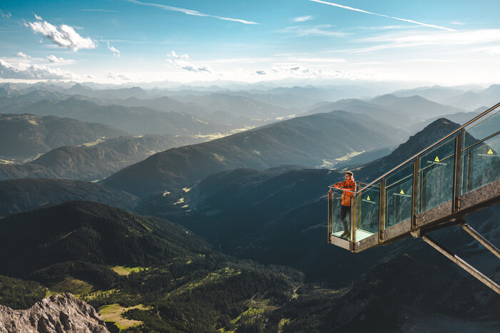 © Gartner Mathäus
