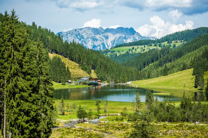 View of Lake Steirischer Bodensee with surrounding forest, green hills and striking mountain range in the background | © René Eduard Perhab