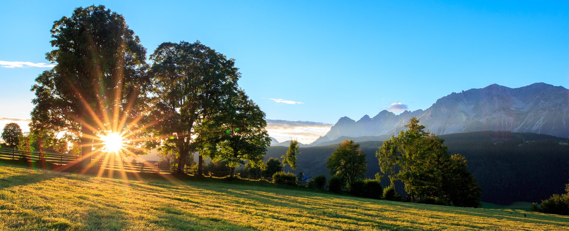 Sunlight beams through trees onto a meadow in Rohrmoos, with the mountains of the Schladminger Tauern in the background | © photo austria