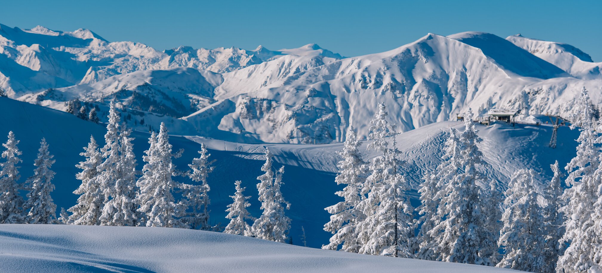 Snow-covered trees and untouched snow with a stunning mountain backdrop. | © Ski amadé