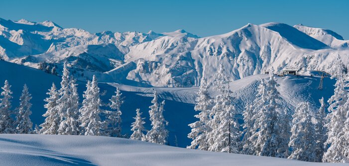 Snow-covered trees and untouched snow with a stunning mountain backdrop. | © Ski amadé