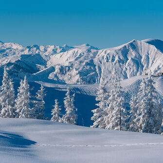 Snow-covered trees and untouched snow with a stunning mountain backdrop. | © Ski amadé