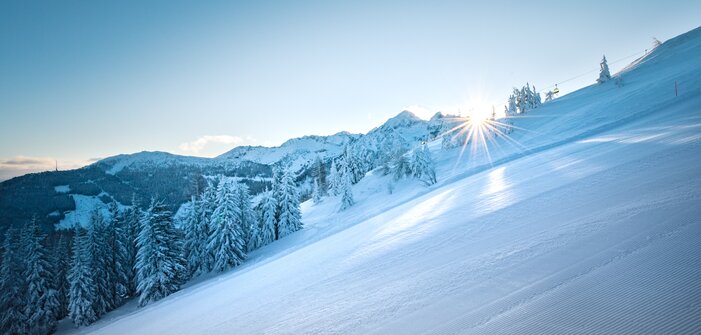 Strahlende Sonne über einer präparierten Skipiste mit verschneiten Bäumen. | © Ski amadé