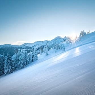 Shining sun over a groomed ski slope with snow-covered trees. | © Ski amadé