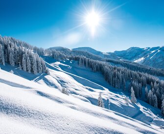 © Ski amadé